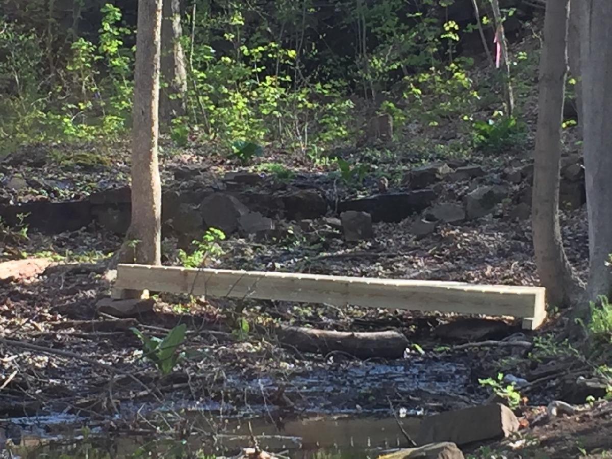 Simple wooden bridge spanning the bottom of a ravine to assist hikers in Dividend Pond Trails